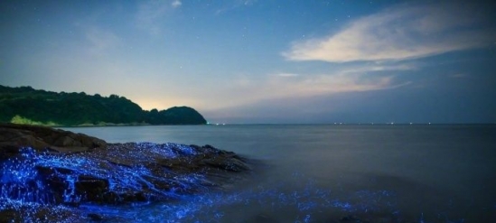 日本最美的海湾 这里的石头会“哭”