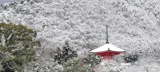 世界太浮躁 去京都的寺院听雨看枫静静心