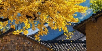 杭州的最美秋色 藏了大半在富阳