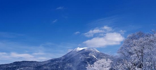 北海道这个浪漫雪国 一到冬天就美成童话